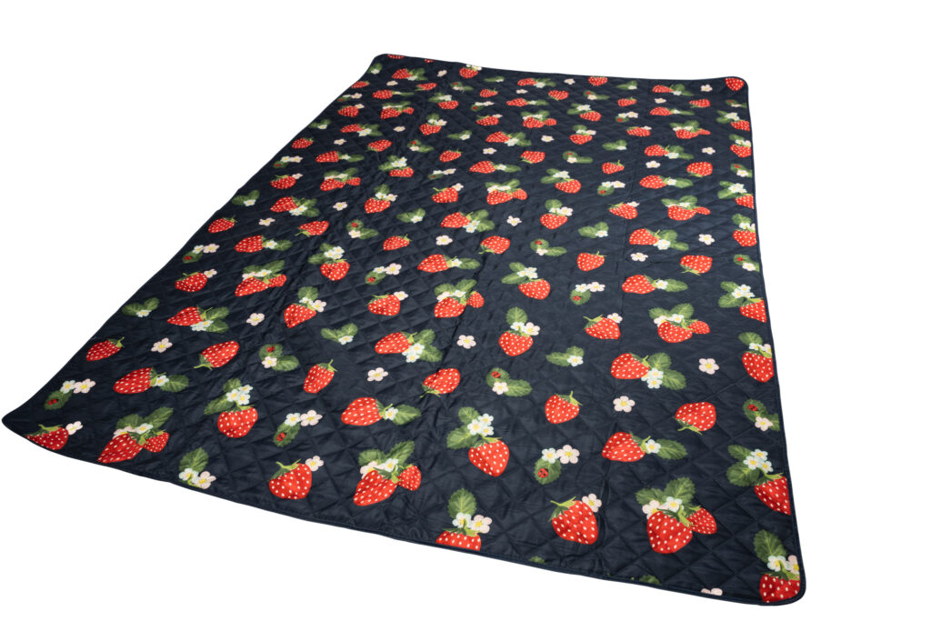 Navigate Strawberries & Cream Picnic Blanket - Image 2