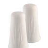 Belleek Erne Salt & Pepper Set