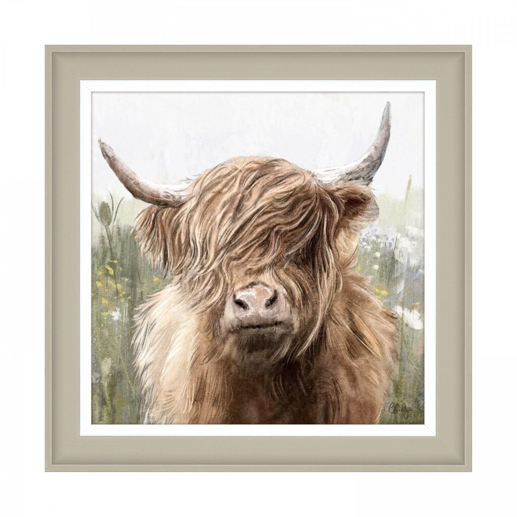 Fergus Picture