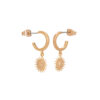 Tipperary Crystal Soleil Mini Hoop Sun Earrings