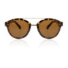 Tipperary Crystal Butterfly Sunglasses Tortoise